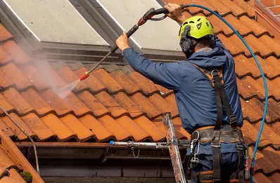 Démoussage et hydrofuge de toiture à Vouhé